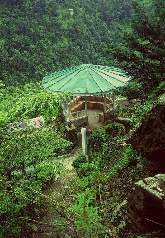 Enchanted Forest Farmstay 강토크 외부 사진
