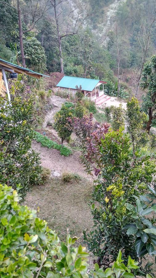 Enchanted Forest Farmstay 강토크 외부 사진