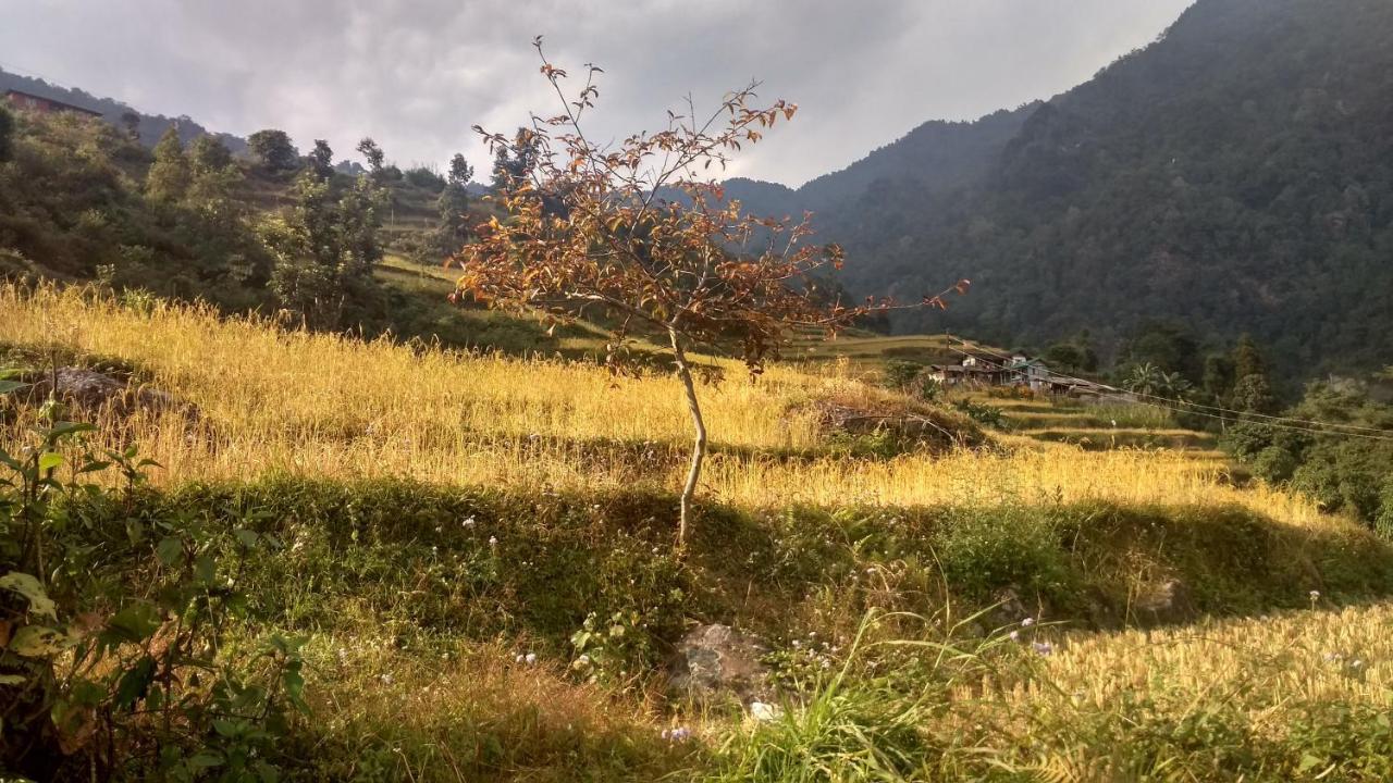 Enchanted Forest Farmstay 강토크 외부 사진