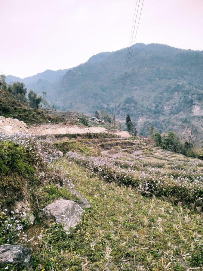Enchanted Forest Farmstay 강토크 외부 사진