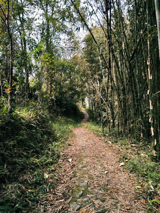 Enchanted Forest Farmstay 강토크 외부 사진
