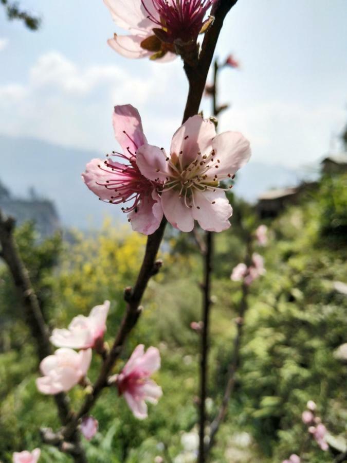 Enchanted Forest Farmstay 강토크 외부 사진