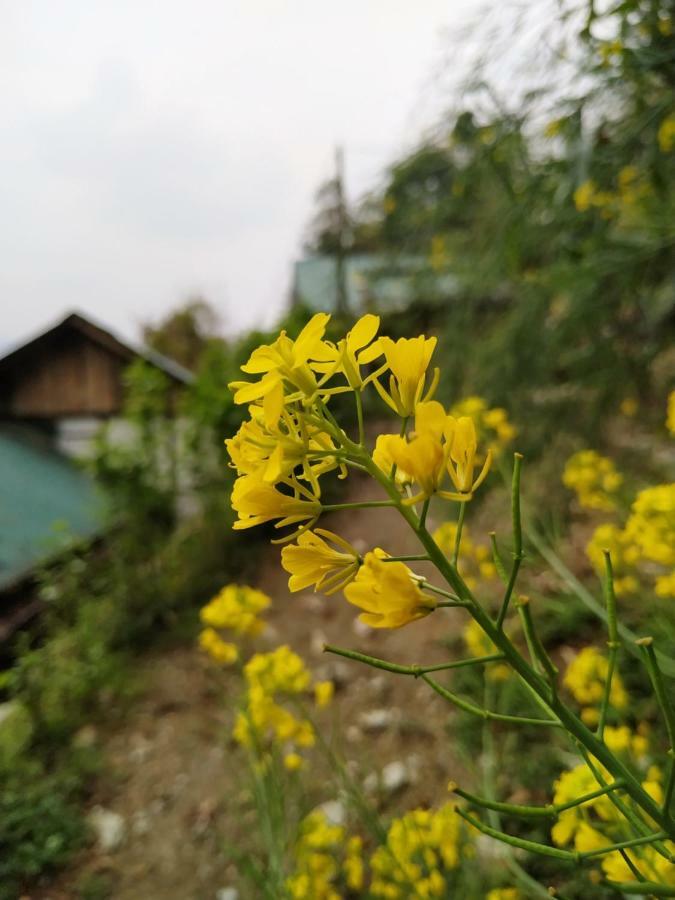 Enchanted Forest Farmstay 강토크 외부 사진