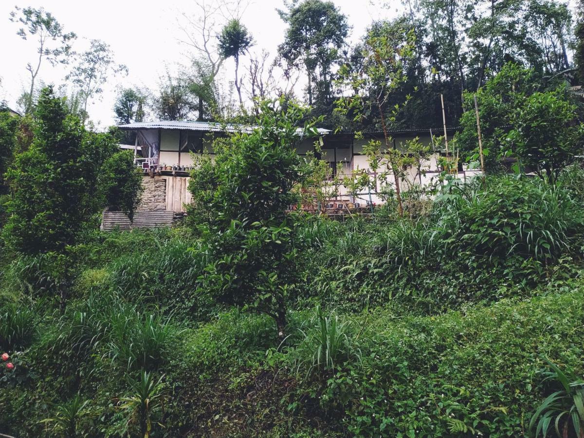 Enchanted Forest Farmstay 강토크 외부 사진